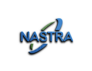 Nastra AI Consulting